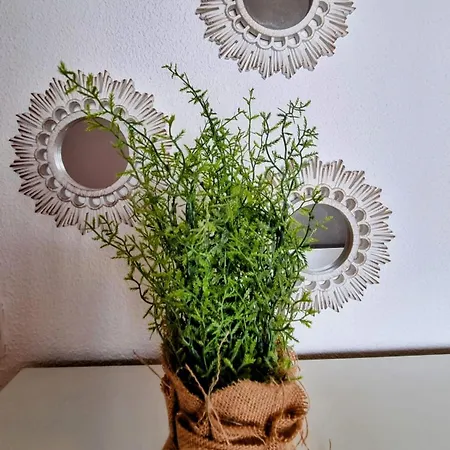 Apartment Seaside Escape